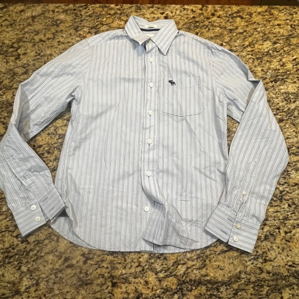 Abercrombie & Fitch Mens XL Muscle Fit Striped Button Down Shirt Blue Brown Logo